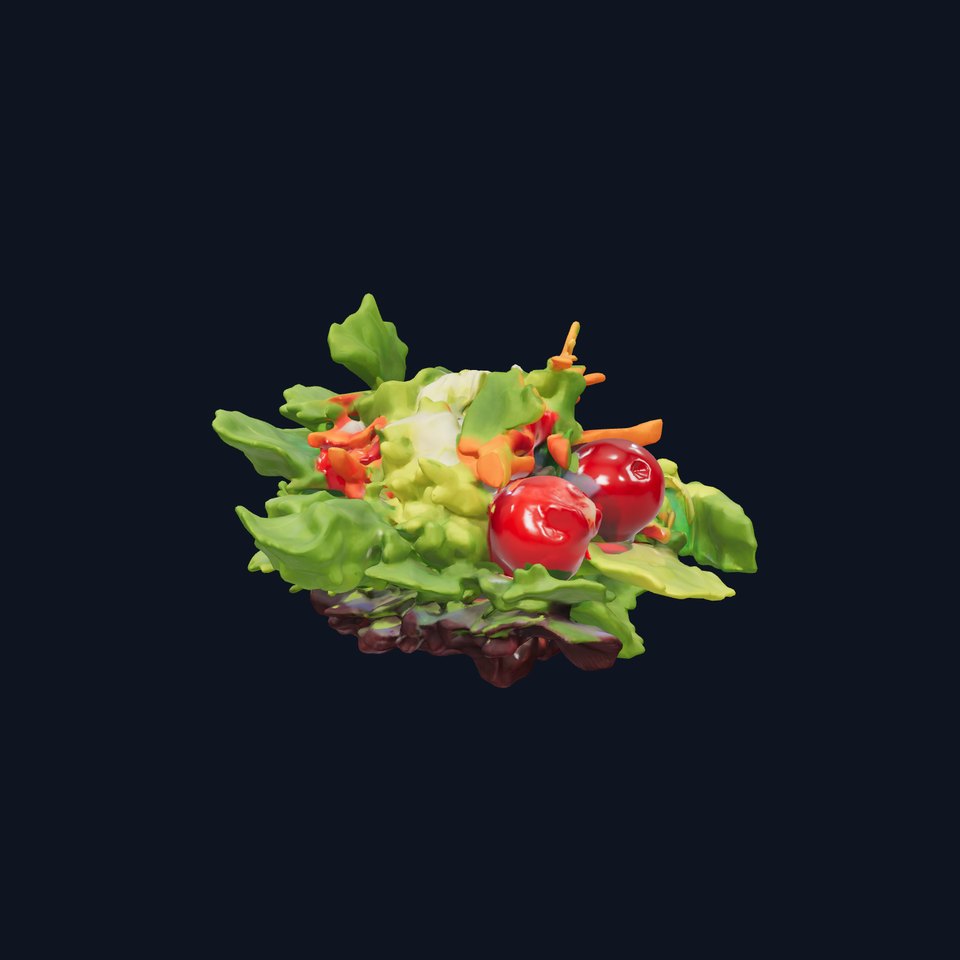 Fresh Garden Salad model pack